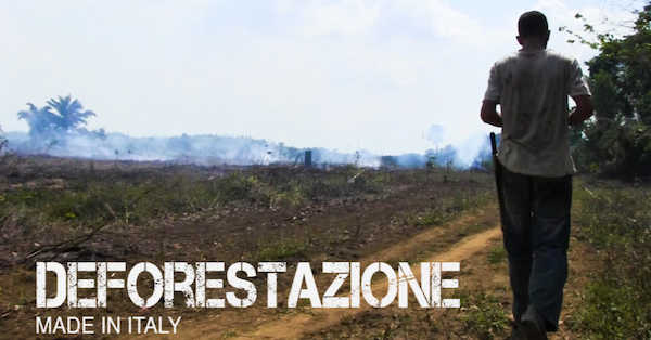 Deforestazione
